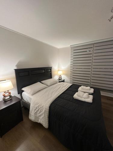 Concepcion Apartment | Amplio departamento en zona céntrica de Concepción