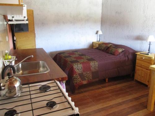 Junin de los Andes Apartment | Apart Hotel Curahue