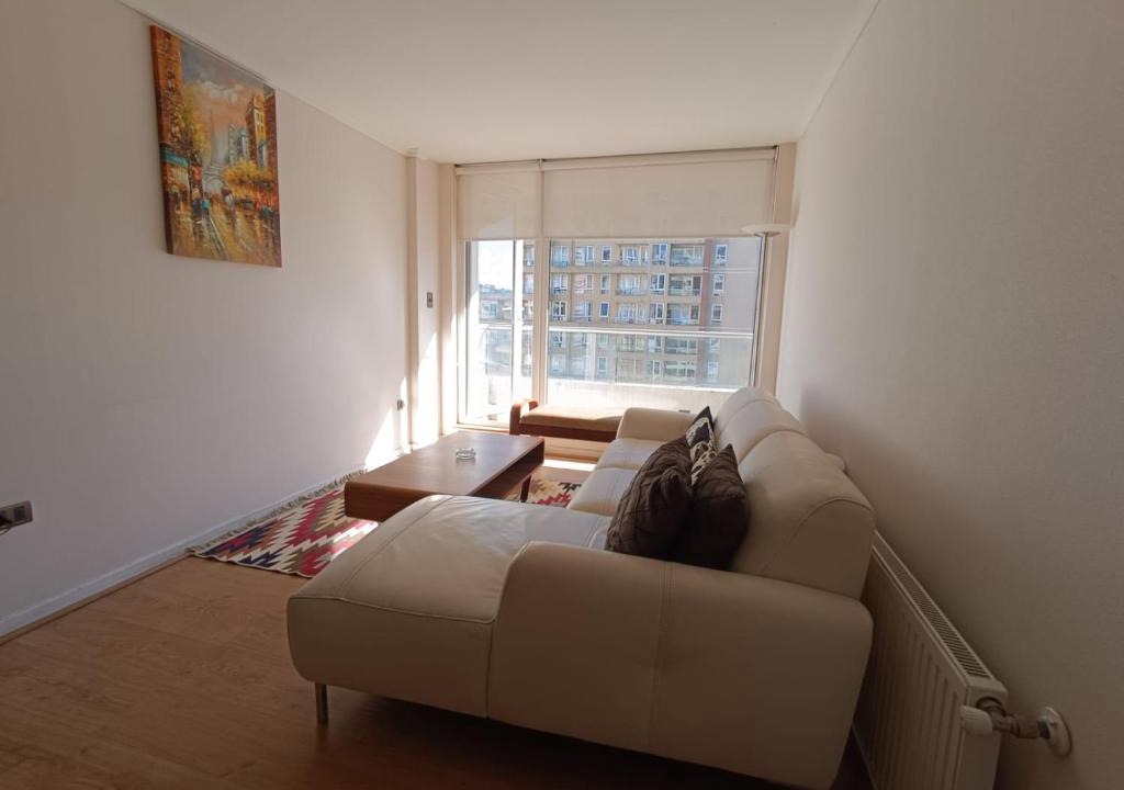 Concepcion Apartment | Apart Lomas de San Andres 2H