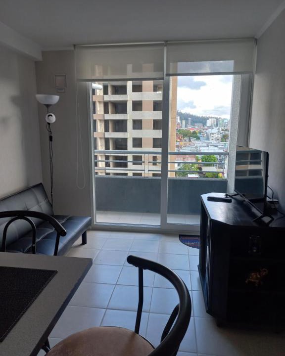 Concepcion Apartment | Apartamento Manuel Rodríguez 140