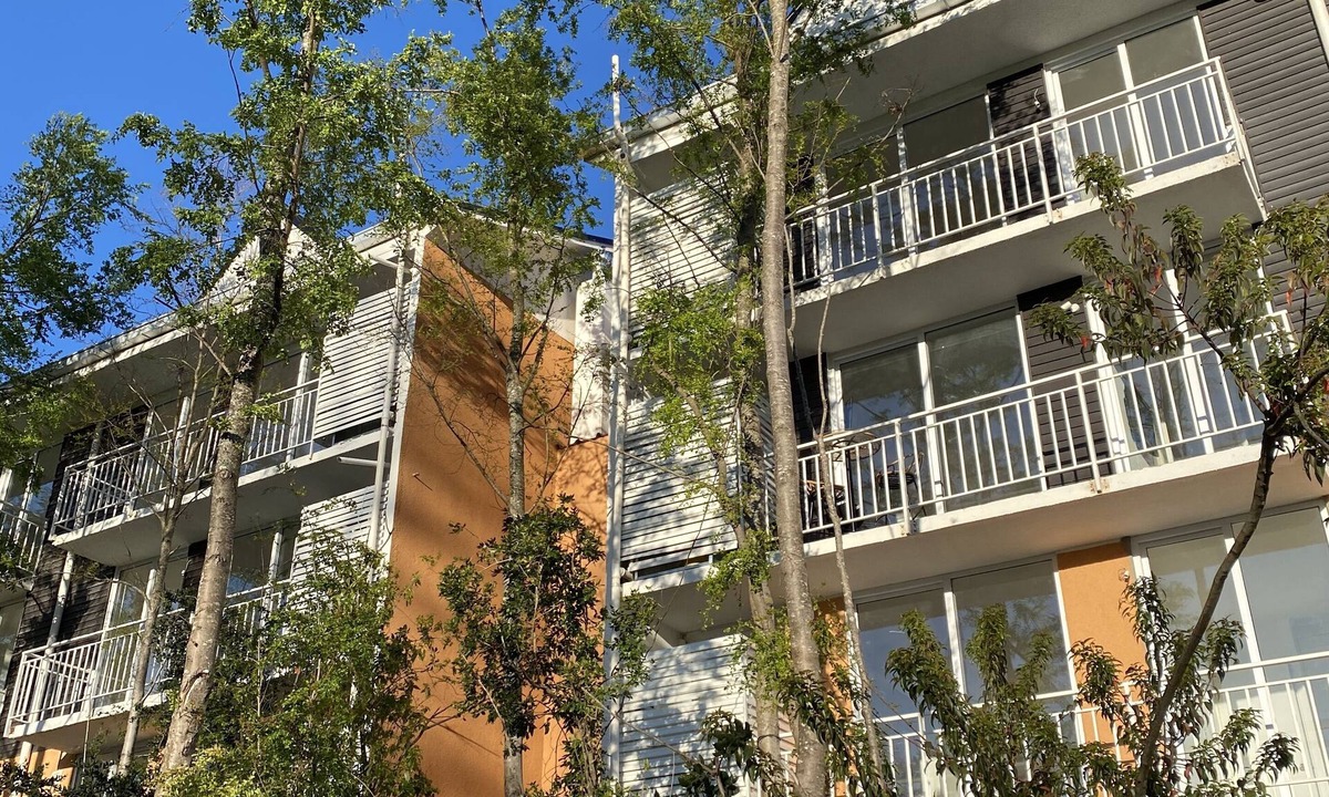 Pucon Apartment | Apartamento Vista Cordillera