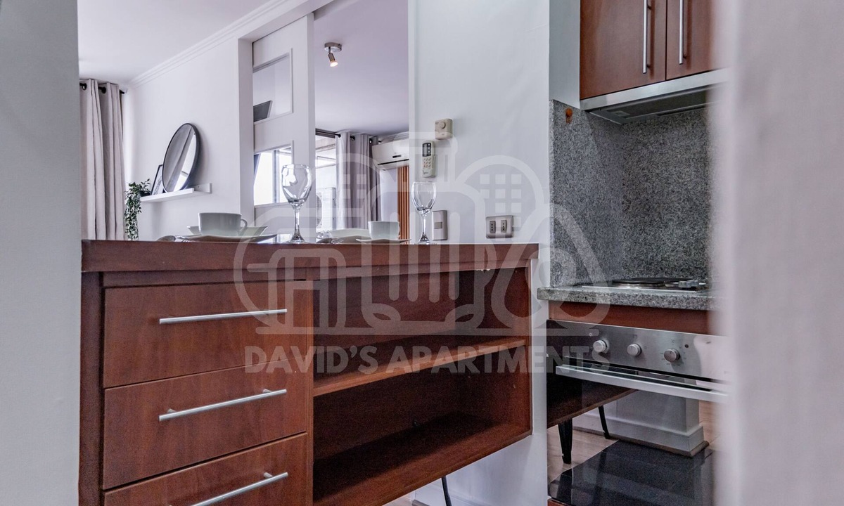 Santiago Apartment | Apartment 18th floor Providencia Metro Manuel Montt