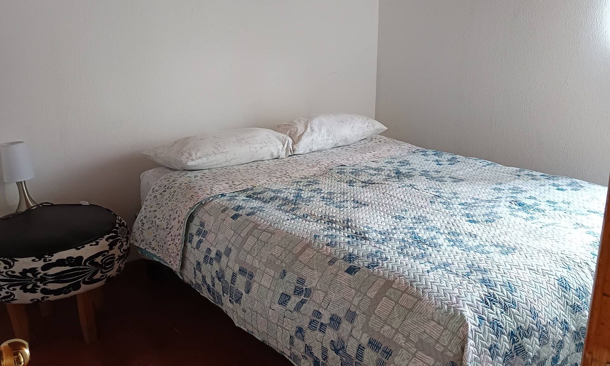 Osorno Apartment | Apartment Javiera Downtown Osorno