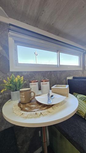 Chillan Other | Bird Bus Chile - Descanso- Aventura - Comodidad