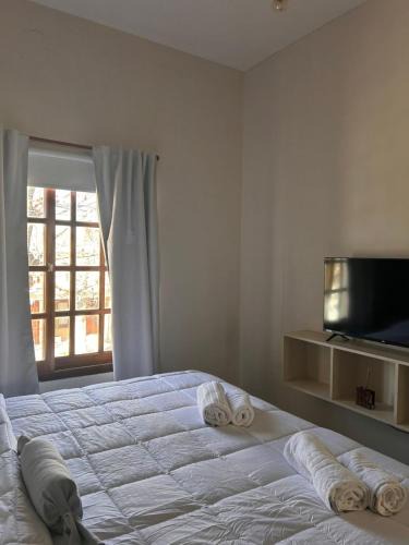San Carlos de Bolivar Apartment | Bolivar Centro