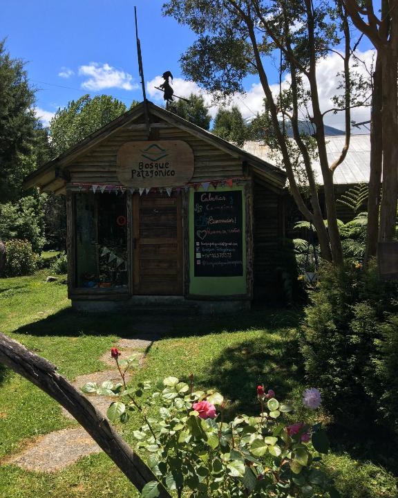 Hornopiren National Park Other | Bosque Patagonico Cabañas y Camping