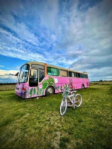 Chamiza Apartment | Bus Casa en observatorio de aves