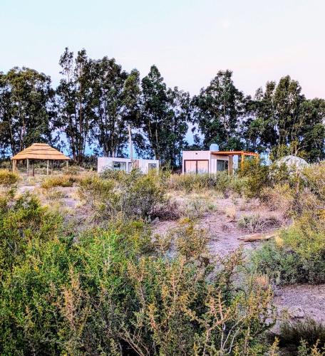 Cuadro Nacional House | Cabaña Container en Viñedos