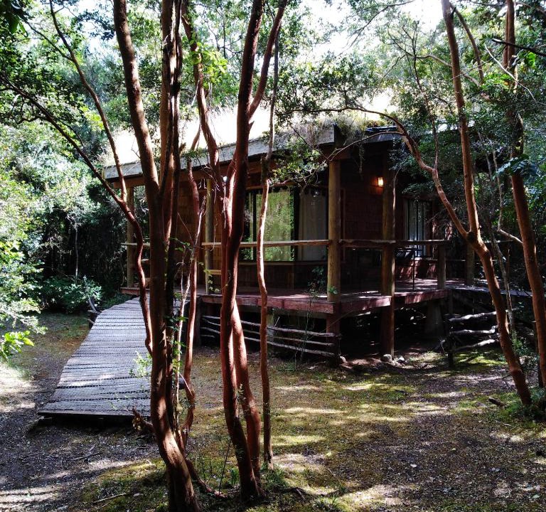 Puelo House | Cabaña en Río Puelo
