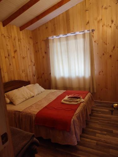 Conaripe House | Cabaña irenio