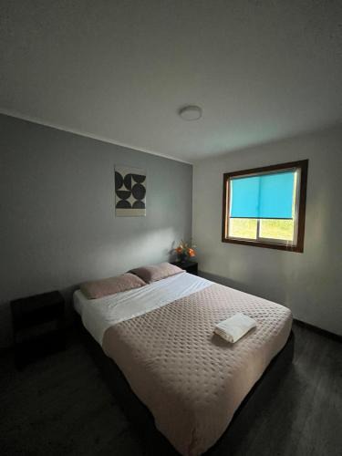 Cunco Other | Cabaña la Concepción 1