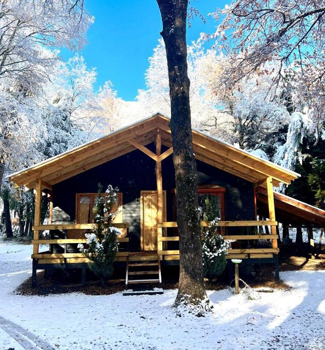 Pinto Ski Chalet | Cabañas Bosque las Trancas