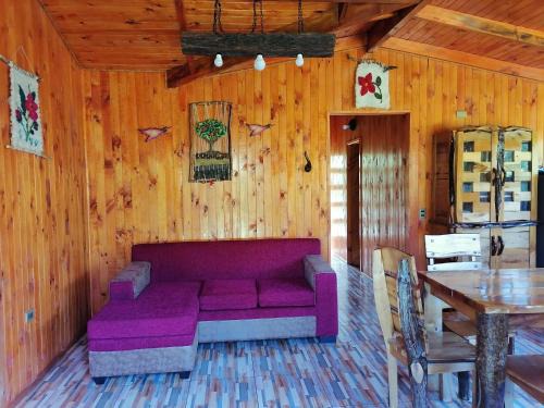 Conaripe House | Cabañas El Diuco en Coñaripe 1