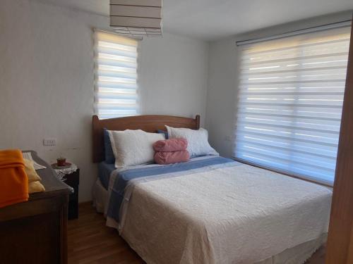 Freirina Apartment | Cabañas Freirina