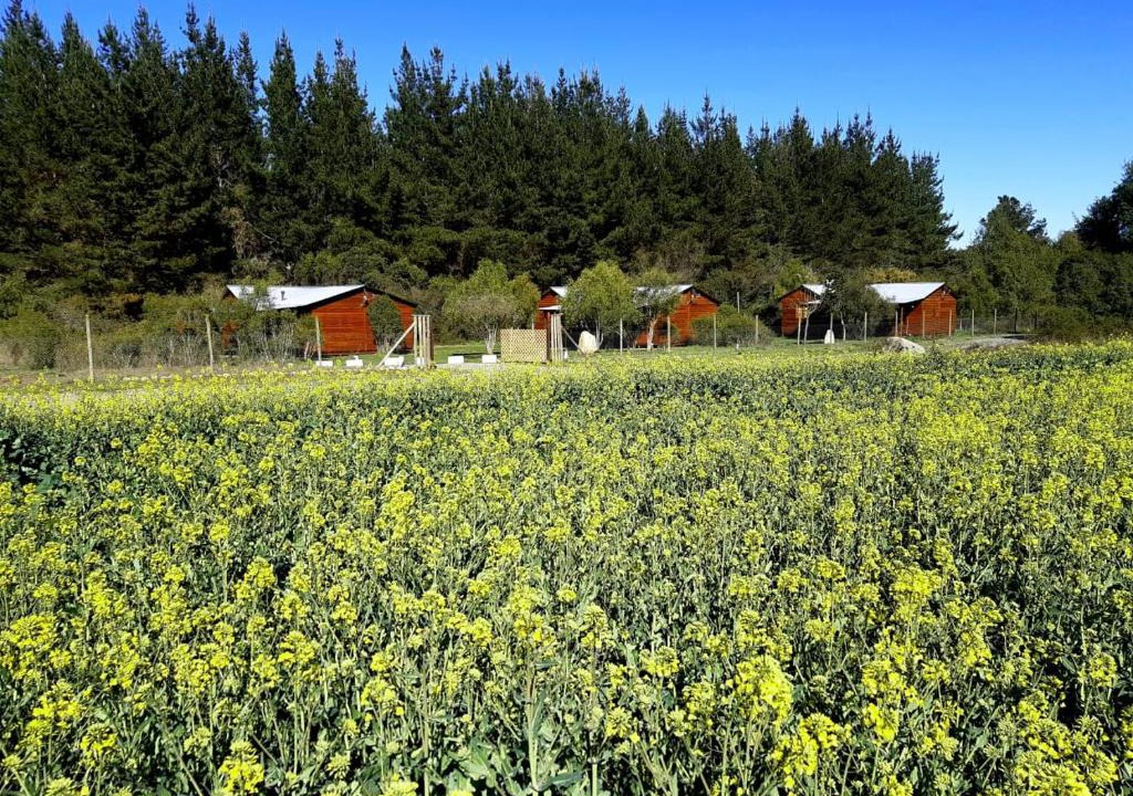 Parral House | Cabañas Los Ciervos