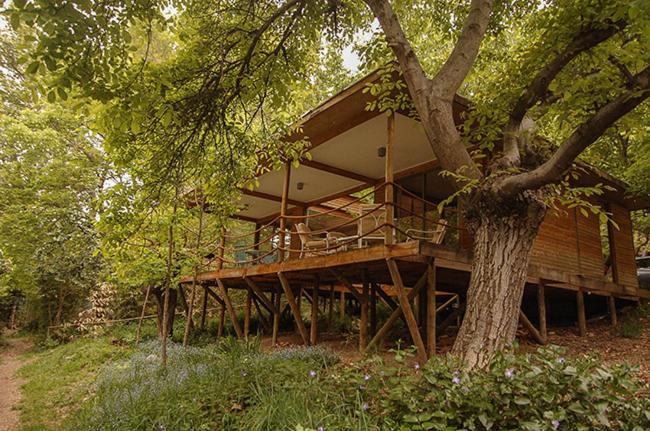 San Alfonso Cabin | Cabañas Nogalia