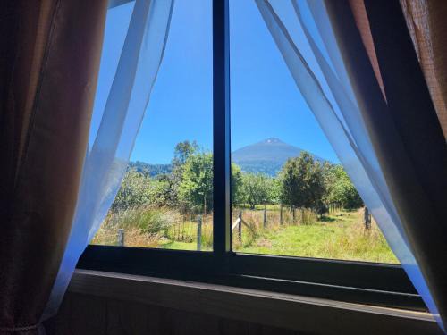 Hornopiren National Park House | Cabañas P y R los canelos