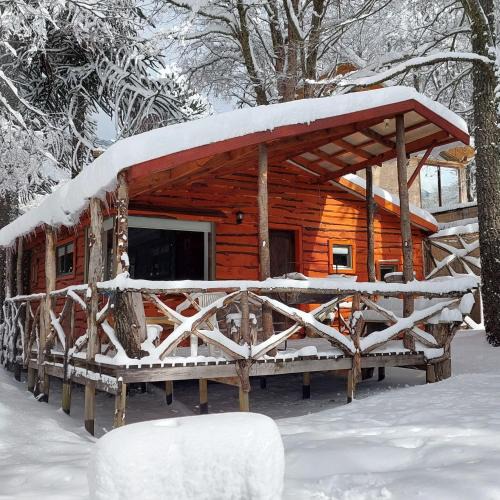 Curacautin House | Cabañas Pukem
