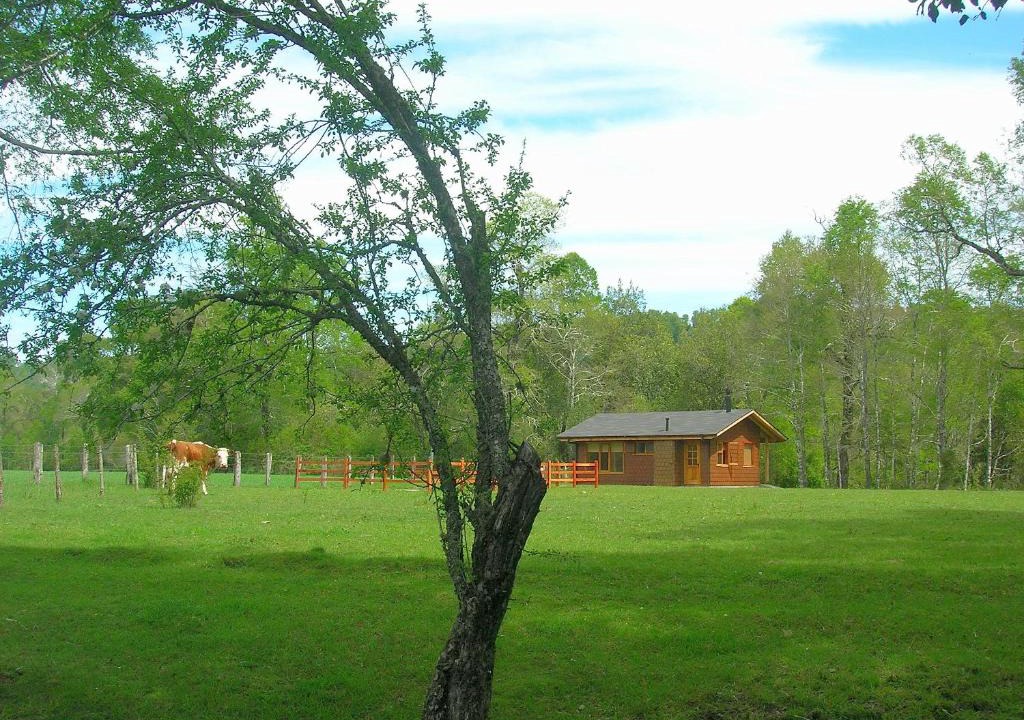 Curacautin House | Cabañas Valle del Río