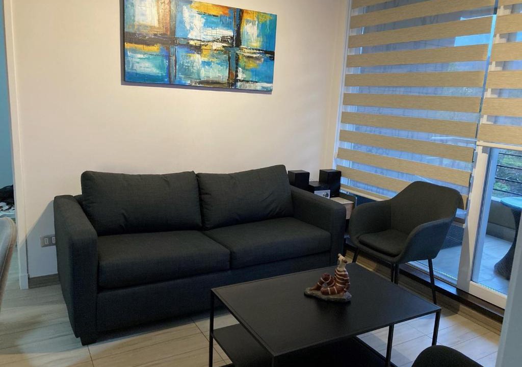 Pucon Apartment | Camino al volcán vista al bosque