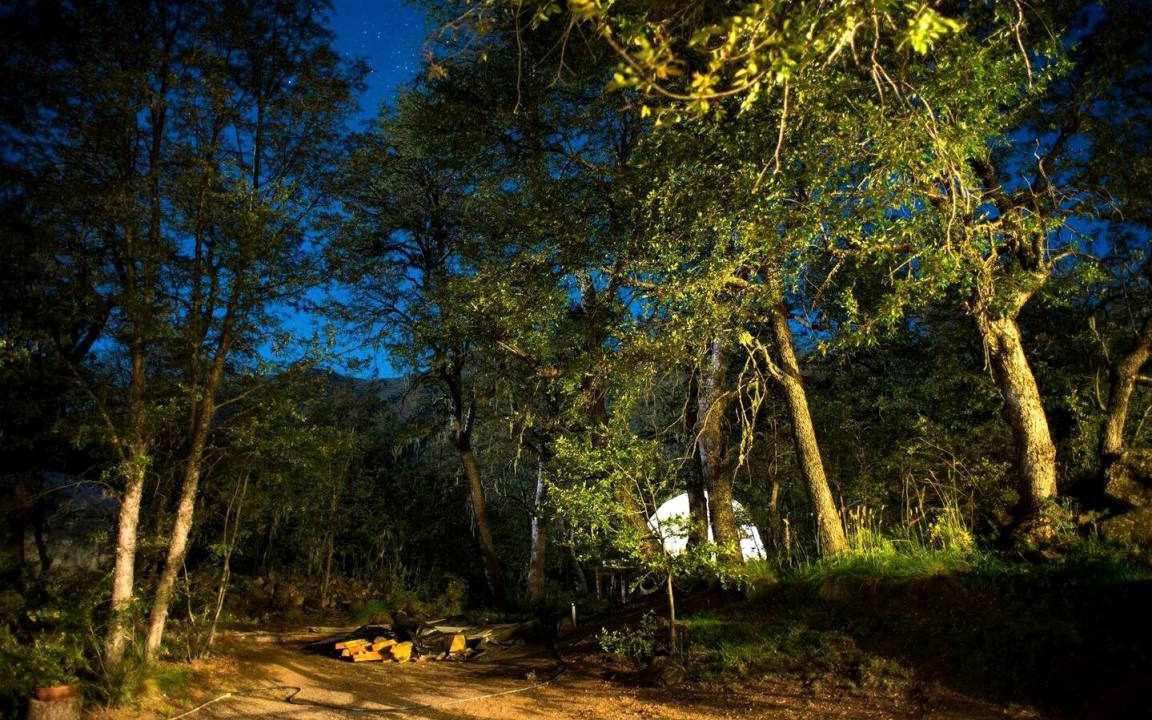Pinto Other | Camping ∙ 1 bedroom ∙ 4 guests