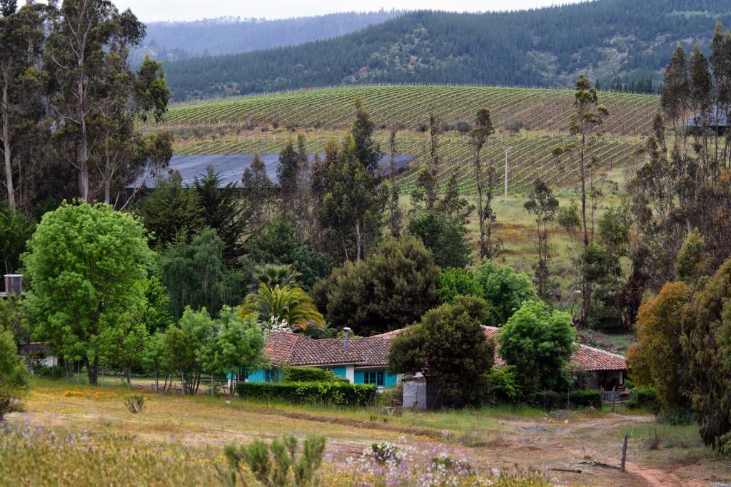 Paredones Bed & Breakfast | Casa Azul de San Pancho