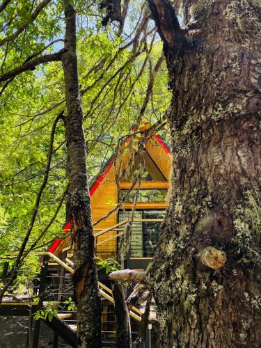Curacautin Ski Chalet | Casa del Árbol - Malalcahuello