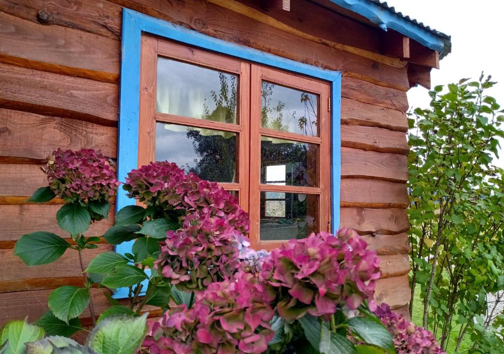 Araucania Region Cabin | Casa del rio