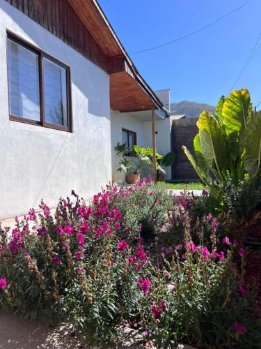 Santa Cruz Villa | Casa Maly, valle de apalta, Santa Cruz