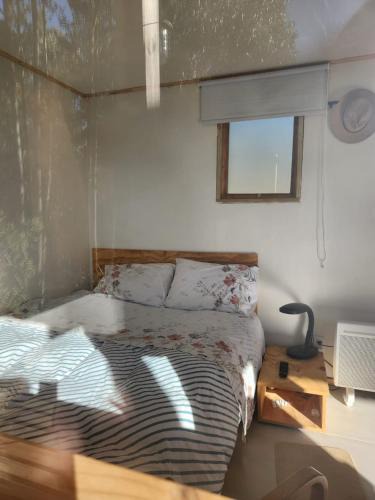 Pichilemu House | Casa Maqui & A frame room en el bosque