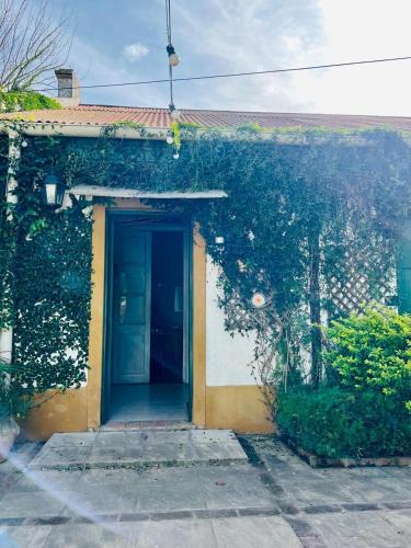 San Pedro House | Casa Quinta Villa Anita