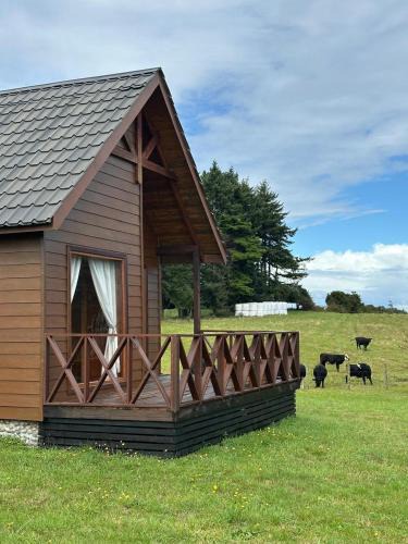 Frutillar House | Casa Ruca con vista al campo