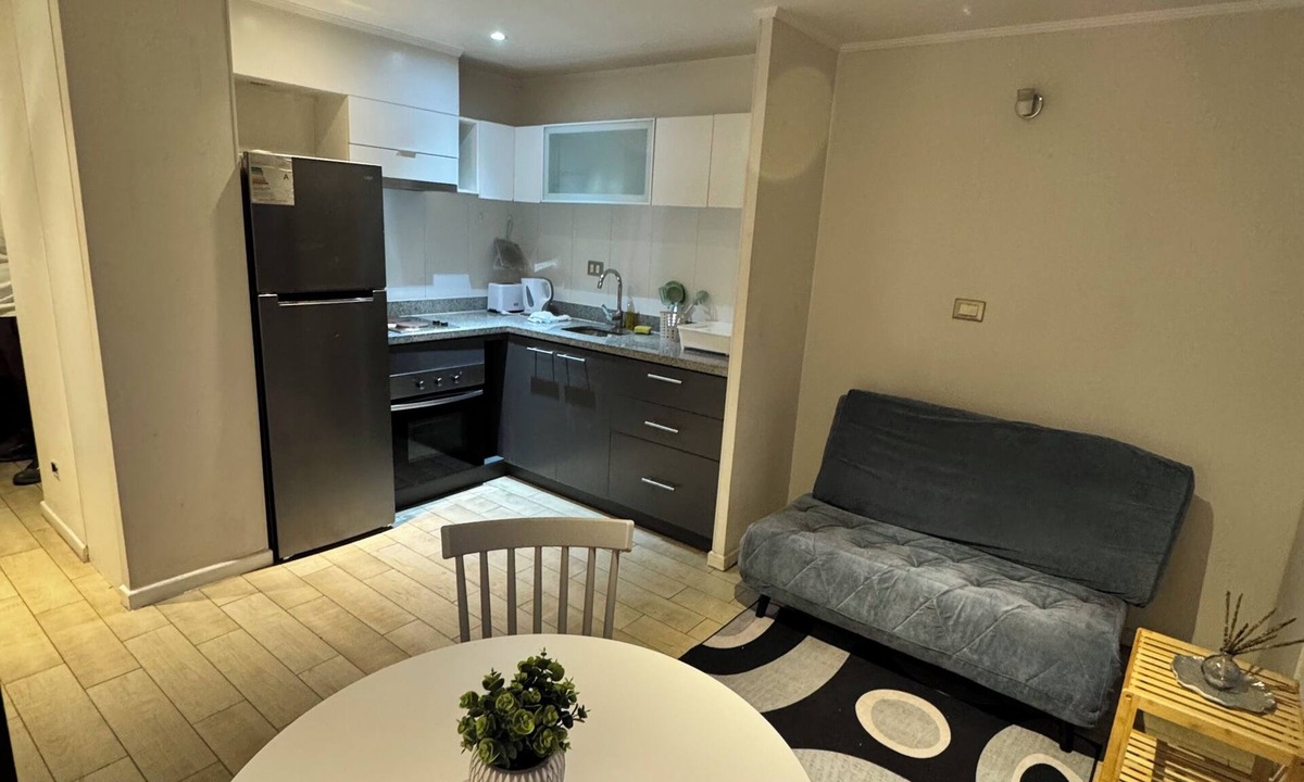 Concepcion Apartment | Central Apartment in Concepción