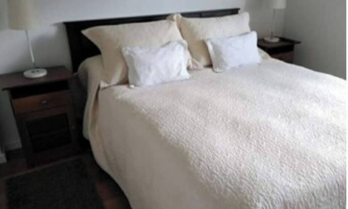 Villarrica Apartment | Central apartment in villarrica