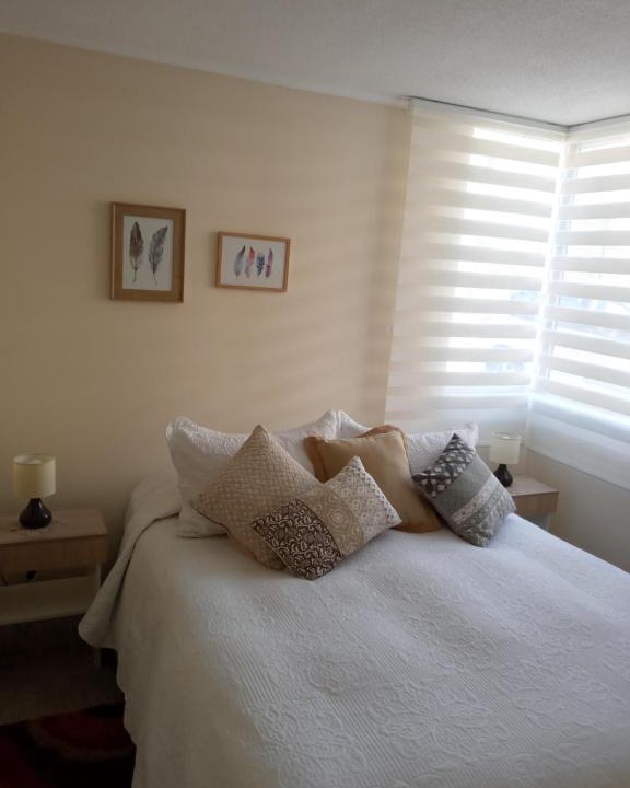 Chillan Apartment | Chillan Centro
