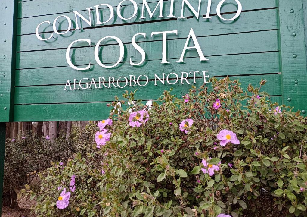 Mirasol Apartment | Costa Algarrobo Norte