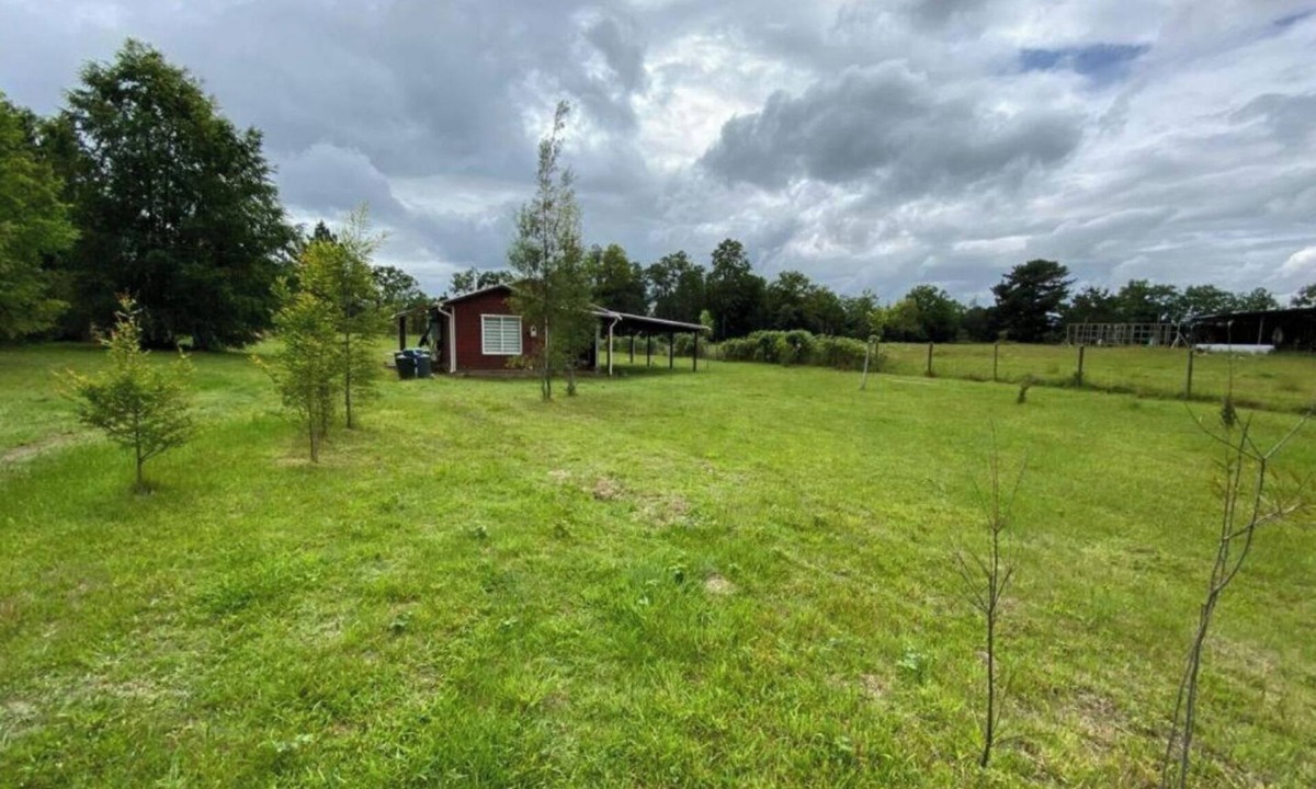 Villarrica Cabin | Country cabin with WIFI, total disconnection 7 minutes from Villarrica