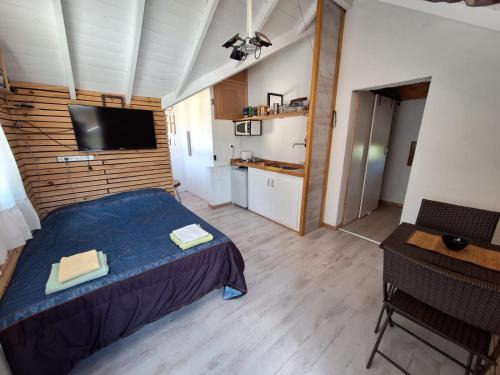 San Martin de los Andes Apartment | Cozy mono SMA