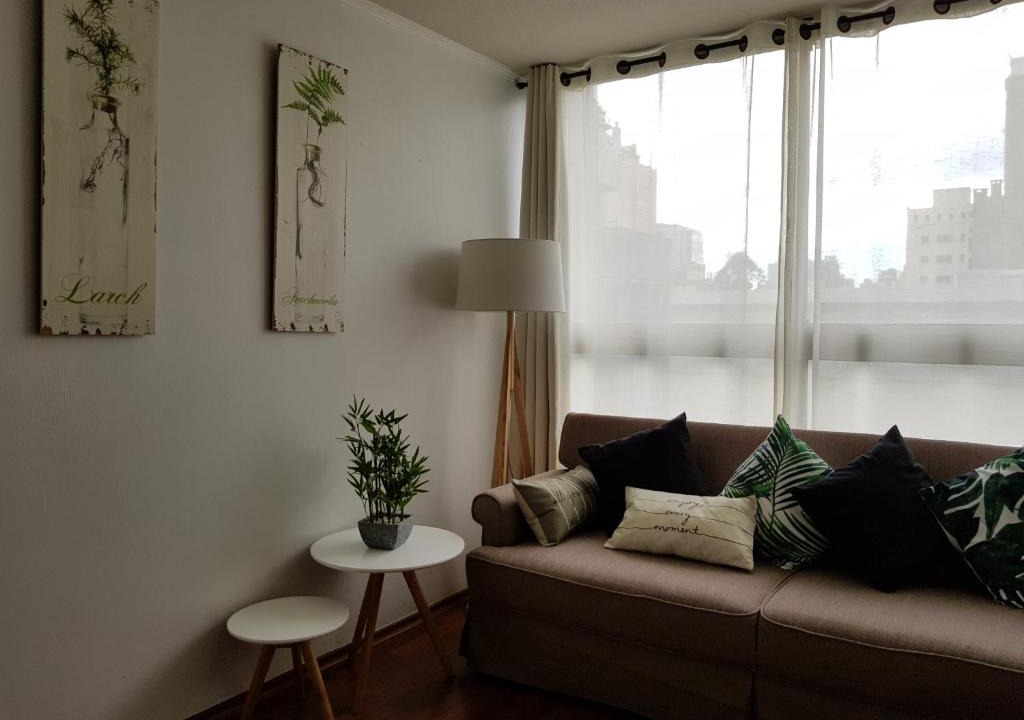 Downtown Santiago Apartment | Cute Apartment Metro Moneda
