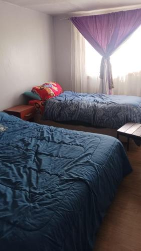 Puerto Aysen House | Dónde Litty