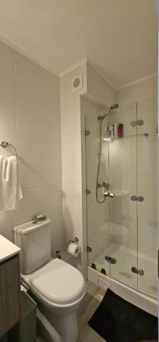 Pitrufquen Apartment | Departamento Centro Plaza 403