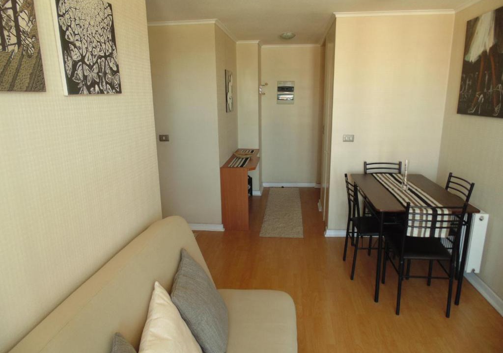Concepcion Apartment | Departamento Concepción Centro