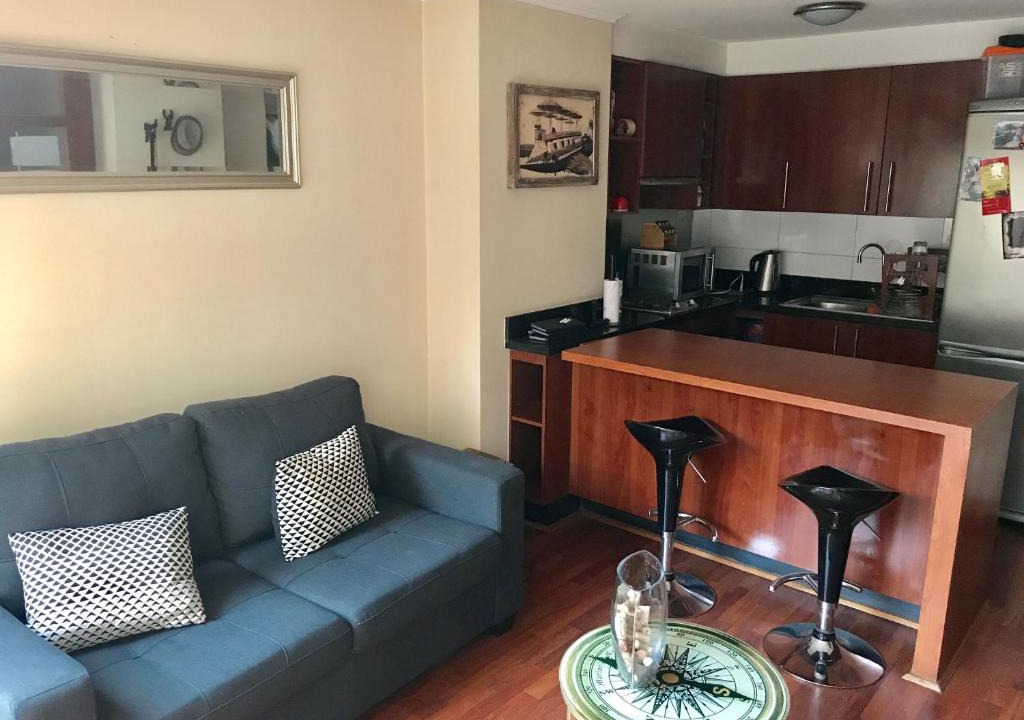 Santiago Apartment | Departamento Edith Providencia