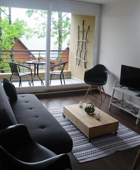 Pucon Apartment | Departamento Explore Pucon