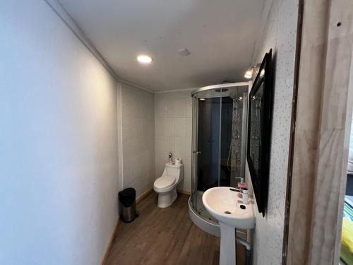 Hornopiren National Park Apartment | Domo Panigal