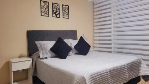 Chillan Apartment | Dpto x día 1711 Chillán