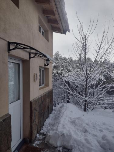 Villa Pehuenia Apartment | Eco del Cielo Apart (Cabaña con patio en 2 plantas para 4)