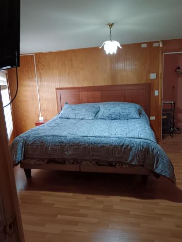 Valdivia House | Eluney 3