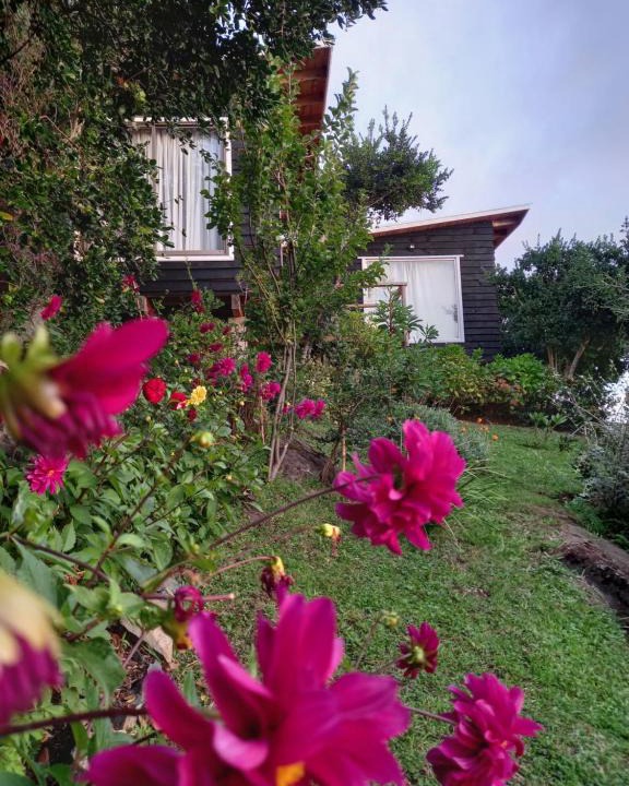 Llifen House | ESTANCIA LOS BOLDOS