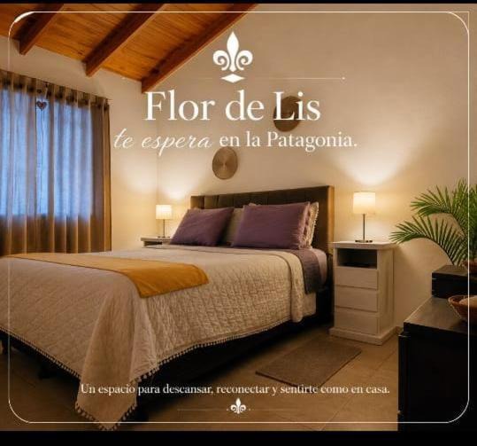 Junin de los Andes Apartment | Flor de Lis, the door opens to your inner self